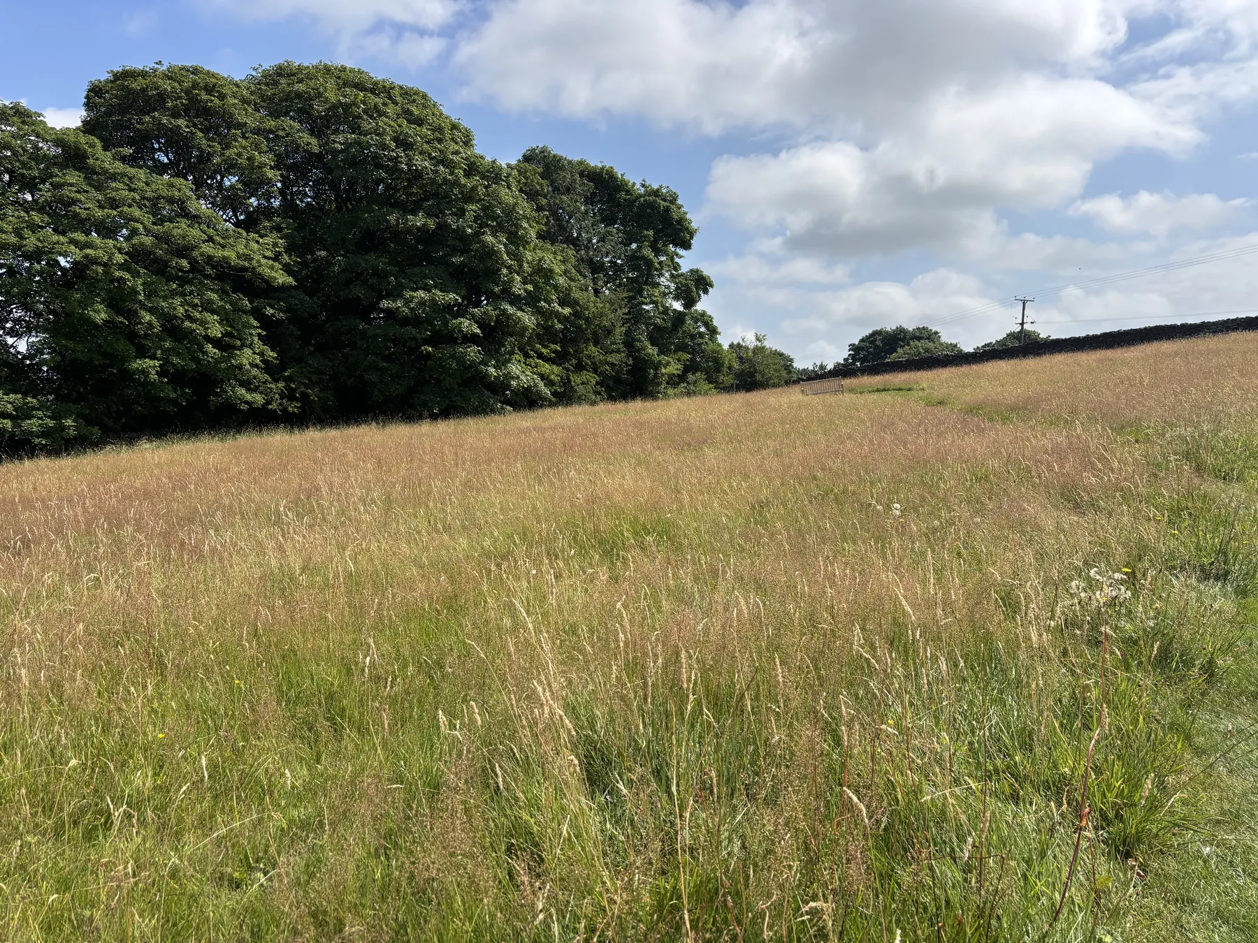 Open heather moorland above Haworth on a private Brontë Country tour